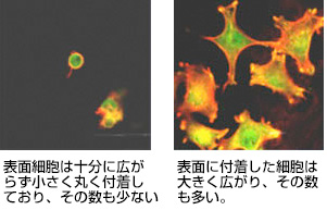 2つめの効果